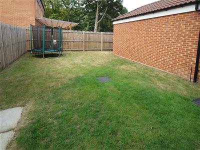 Picture 22